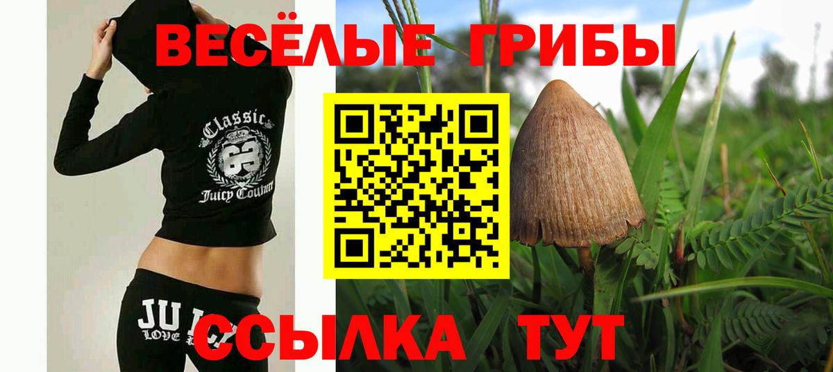 Псилоцибиновые грибы ЛСД Сергиев Посад