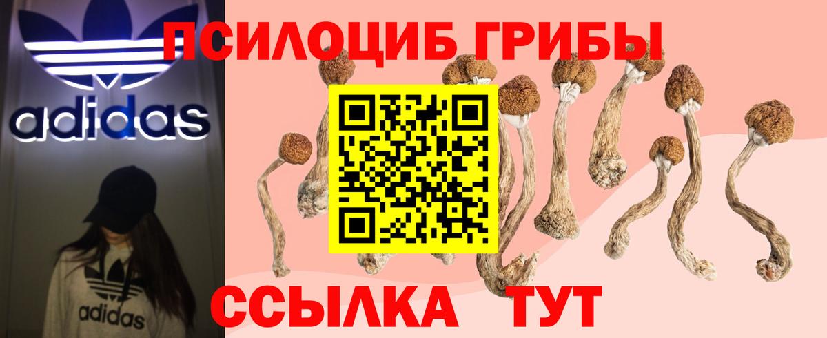 Сергиев Посад  Галлюциногенные грибы Cubensis  Вход с VPN 